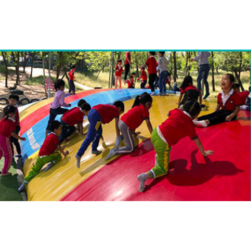 Beach Inflatable Toy Tarpaulin Manufacturer - OEM/ODM Custom Good Air Tightness Beach Inflatable Toy Flying Fish Tarpaulin