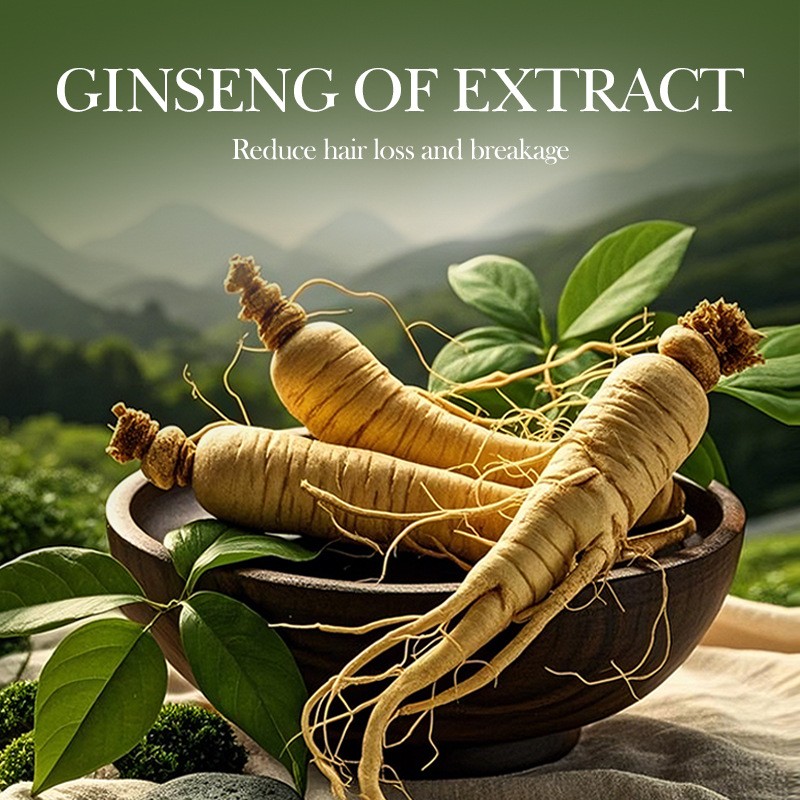 SADOER Ginseng and Polygonum Multiflorum Nourishing Anti-hair Loss Shampoo