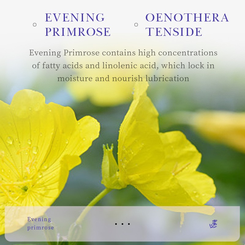 Evening Primrose Vitamin E Body Lotion  Moisturizing