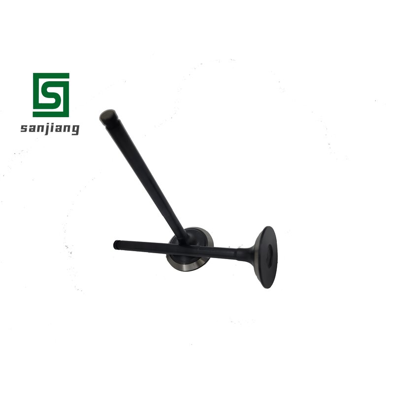 Engine Intake Exhaust Valve Manufacturer - OEM/ODM Custom High Quality Engine Intake Exhaust Valve for Komatsu 4D95