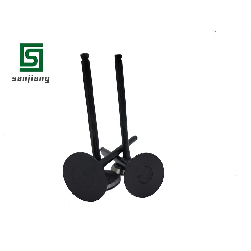 Engine Intake Exhaust Valve Manufacturer - OEM/ODM Custom High Quality Engine Intake Exhaust Valve for Komatsu 4D95