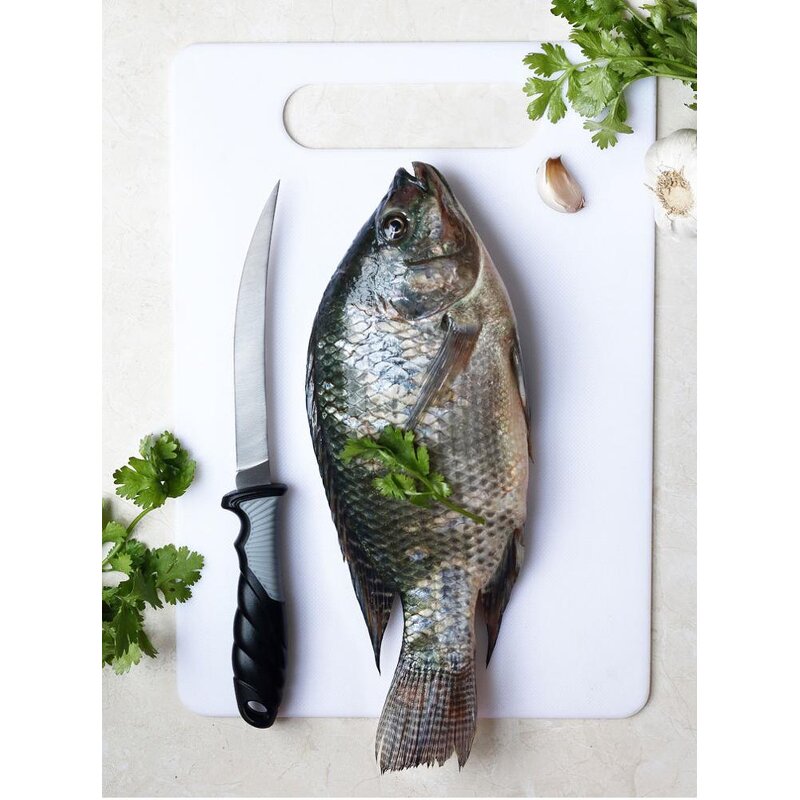 Japanese Sashimi Knife Factory - OEM/ODM Custom Kitchen Outdoor Fishing Products Japanese Sashimi Fish Fillet Knife