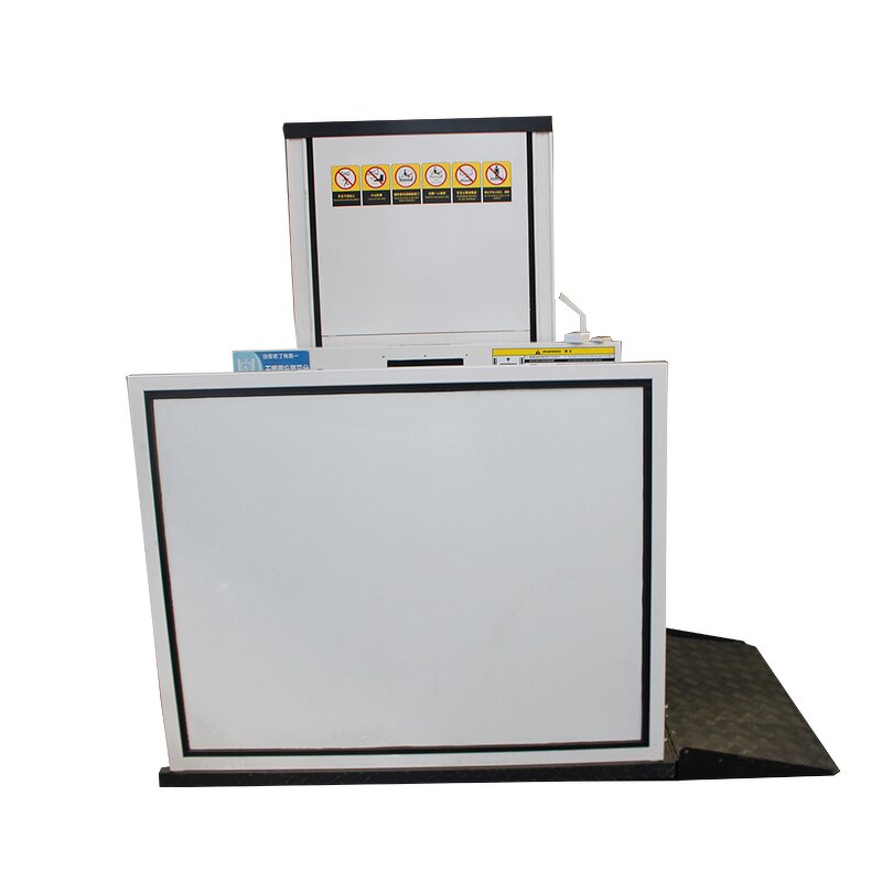 Home Passenger Lift Manufacturer - Small Panoramic Outdoor for Disable