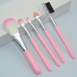 Wholesale 5 Pcs Pink Girl Series Cosmetic Set Portable Non Bacterial Tender Skin-friendly Makeup Brush Set for Girls