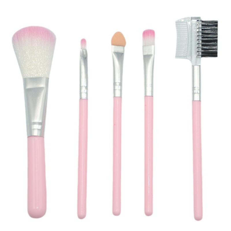 Wholesale 5 Pcs Pink Girl Series Cosmetic Set Portable Non Bacterial Tender Skin-friendly Makeup Brush Set for Girls