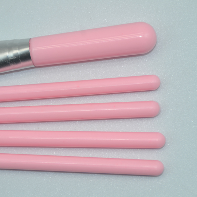 Wholesale 5 Pcs Pink Girl Series Cosmetic Set Portable Non Bacterial Tender Skin-friendly Makeup Brush Set for Girls