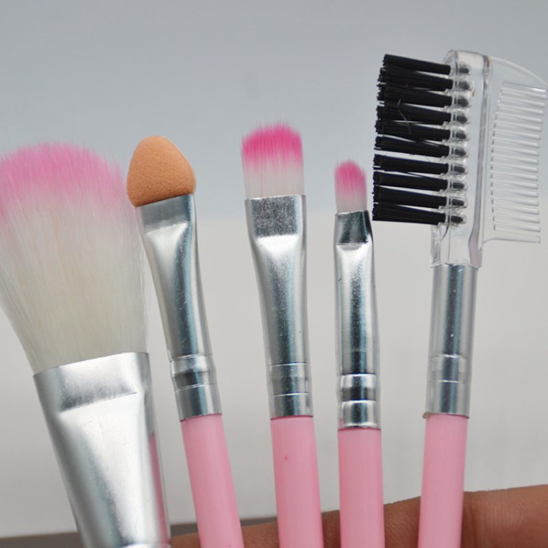 Wholesale 5 Pcs Pink Girl Series Cosmetic Set Portable Non Bacterial Tender Skin-friendly Makeup Brush Set for Girls