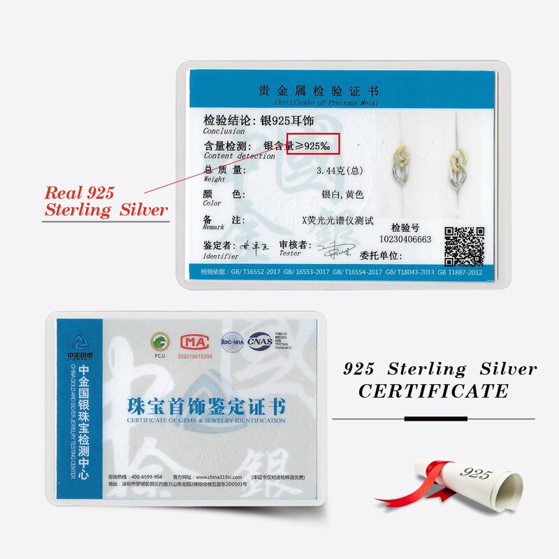 Pearl Earrings Chain Manufacturer - OEM/ODM Custom 925 Silver Pearl Earrings Chain for Women Flower Long Earrings