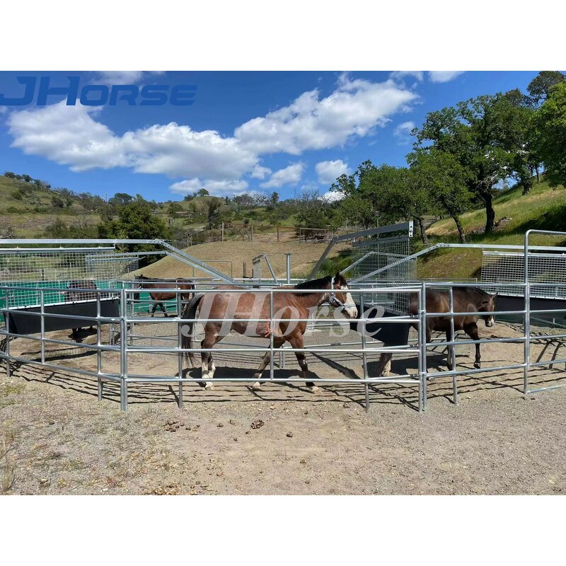 Horse Training Walker Factory - OEM/ODM Custom Steel Heavy Duty Horse Training Walker Equipment