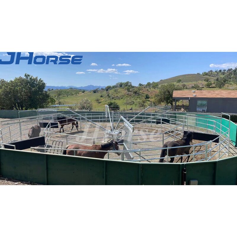 Horse Training Walker Factory - OEM/ODM Custom Steel Heavy Duty Horse Training Walker Equipment