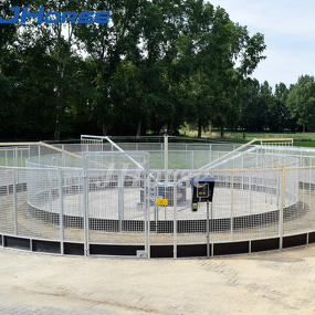 Horse Exerciser Walker Manufacturer - OEM/ODM Custom Horse Walker with Electronic Control Box Custom Size