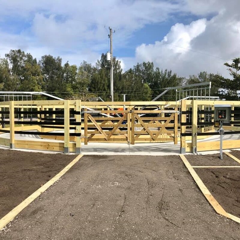 Horse Walker Machine Manufacturer - OEM/ODM Custom Hot Dip Galvanizing Horse Walker for Daily Training