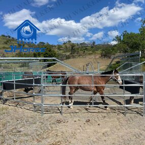 Horsewalker Equipment Manufacturer - OEM/ODM Custom Durable Hot Dipped Galvanized Horsewalker with CE