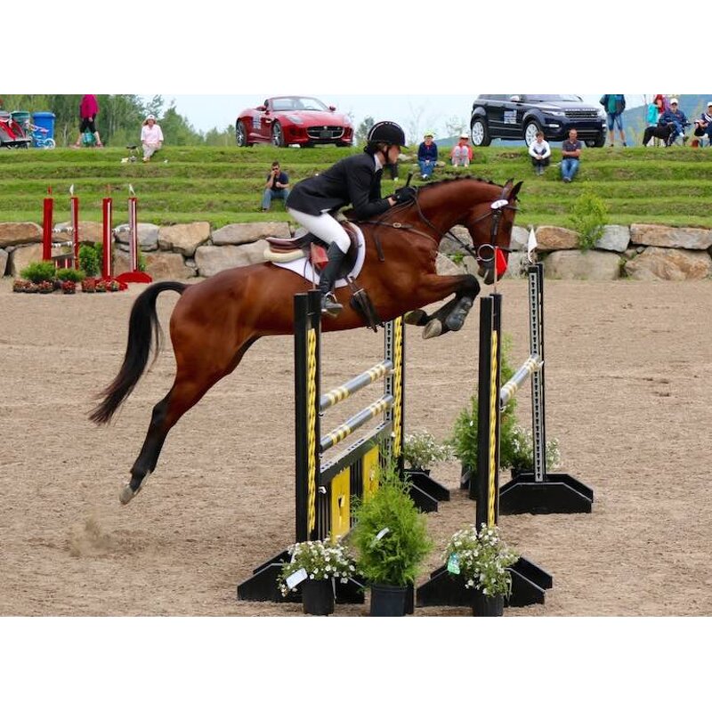 Jumping Equipment Fence Manufacturer - OEM/ODM Custom High Quality 3m Aluminum Poles Jumping Equipment Fence