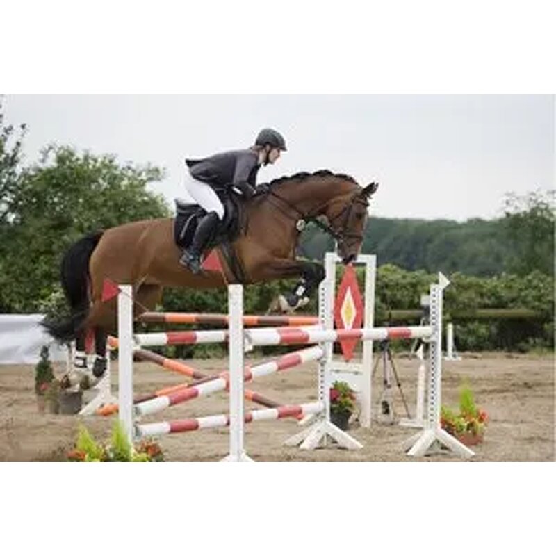 Jumping Equipment Fence Manufacturer - OEM/ODM Custom High Quality 3m Aluminum Poles Jumping Equipment Fence