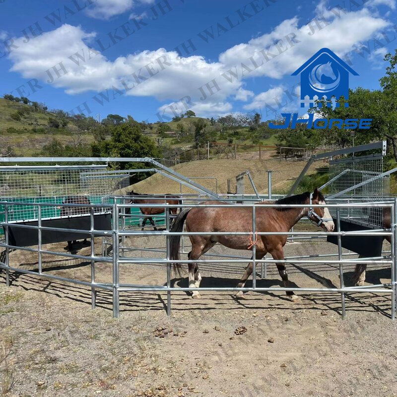 Horse Walker Running Machine Factory - OEM/ODM Custom HDG Horse Walker Motor for 6/8 Position