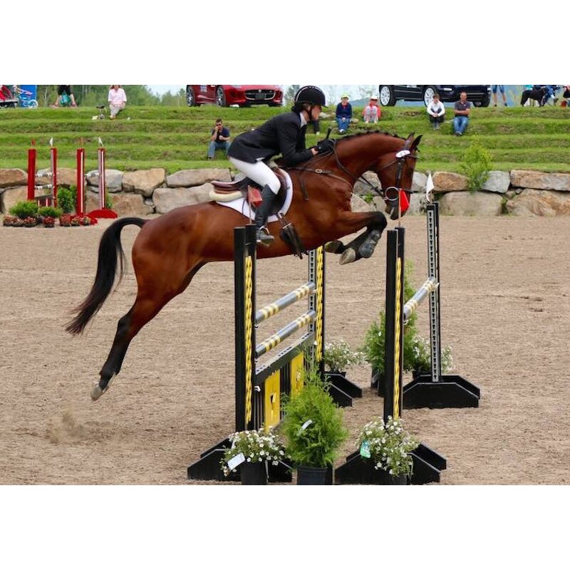 Aluminum Racing Training Fence Factory - OEM/ODM Custom Outdoor Anti Rust Aluminum Racing Training Fence