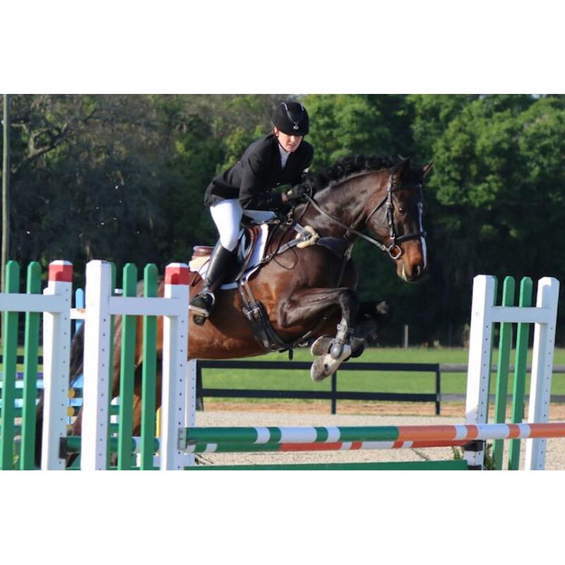 Aluminum Racing Training Fence Factory - OEM/ODM Custom Outdoor Anti Rust Aluminum Racing Training Fence