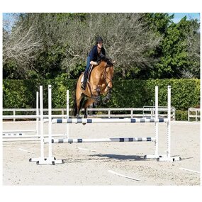 Jumping Equipment Fence Manufacturer - OEM/ODM Custom High Quality 3m Aluminum Poles Jumping Equipment Fence