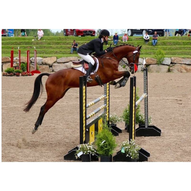 Customized Horse Barrier Manufacturer - OEM/ODM Custom Metal Customized Types Training Horse Barrier Jumping