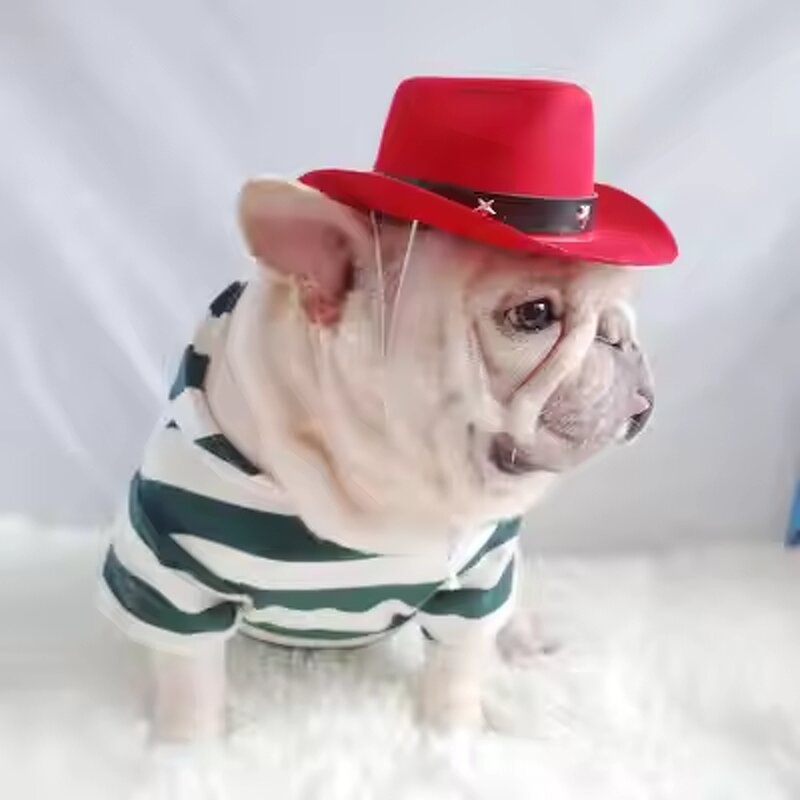 Pet Hat Supplier - Creative Mini Pet Dogs Western Cowboy Hat Star Cap