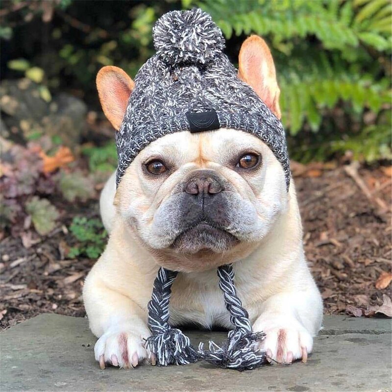 Dog Hats Factory - Winter Warm Knitting French Bulldog Cap Fluffy Ball
