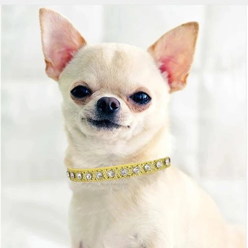 Cat Collar Supplier - Shining Diamond Rhinestone Leather Strap Kitten Collar