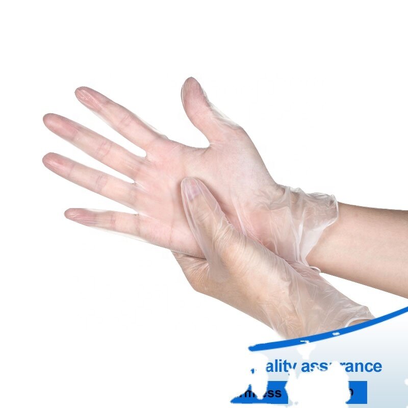 Examination Gloves Bulk - 100PCS Clear Disposable