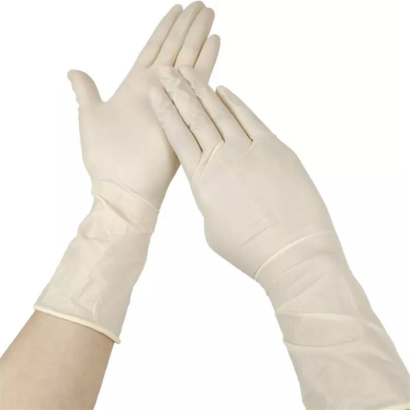 Non Latex Gloves Supplier - Powder Free Exam