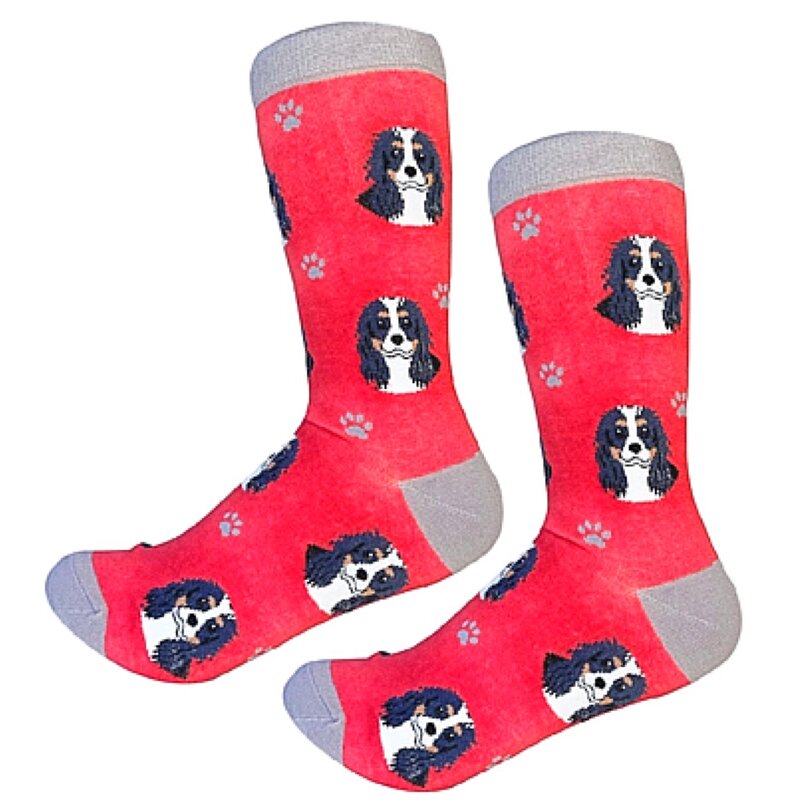Dog Socks Supplier - King Charles Cavalier Pattern