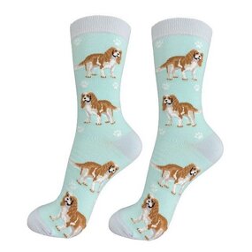 Dog Socks Supplier - King Charles Cavalier Pattern