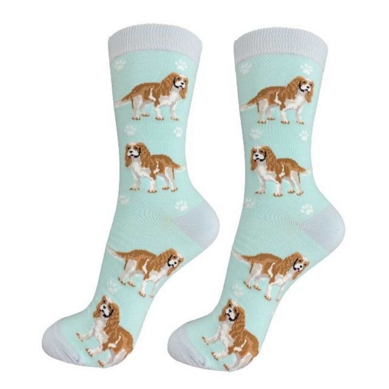 Dog Socks Supplier - King Charles Cavalier Pattern
