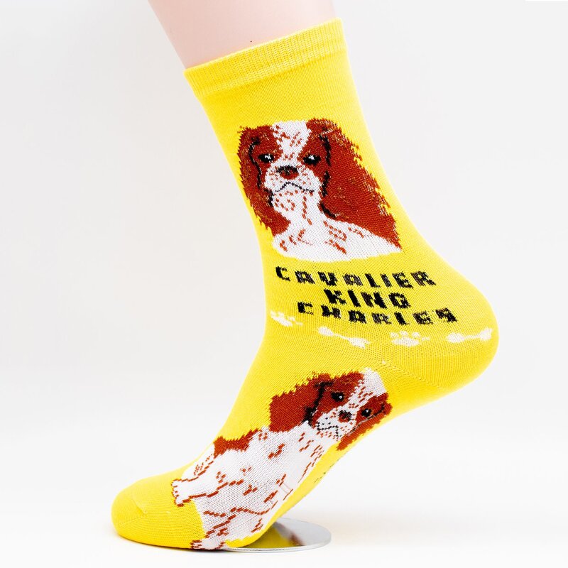 Dog Socks Supplier - King Charles Cavalier Pattern