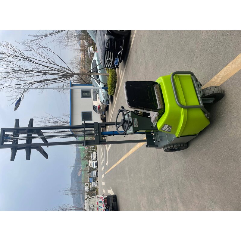 Electric Forklift Supplier - 800kg New Condition Four-Wheeled Ride-On Mini Lead-Acid