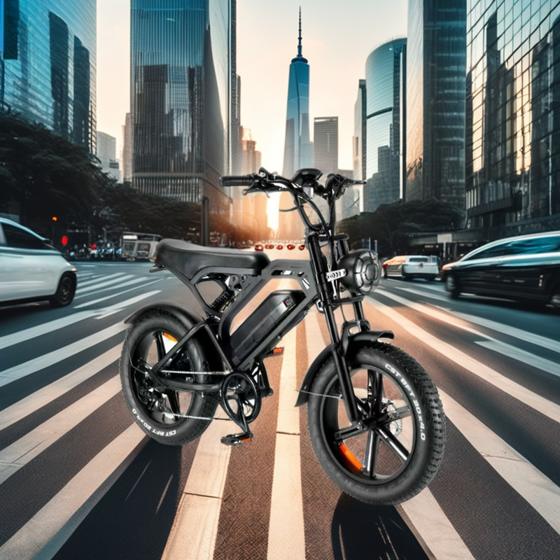 Electric Bike Supplier - 750W Retro Hybrid 48V 15AH Folding