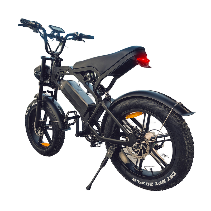 Electric Bike Supplier - 750W Retro Hybrid 48V 15AH Folding
