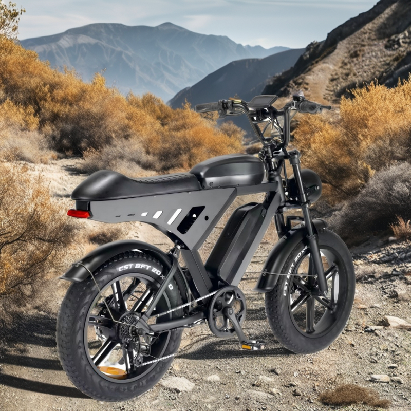Electric Bike Manufacturer - 500W Retro Moped 48V Fat Tire