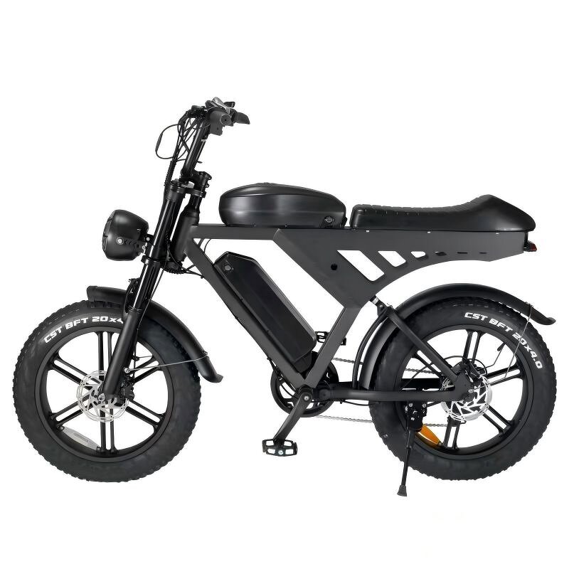 Electric Bike Manufacturer - 500W Retro Moped 48V Fat Tire