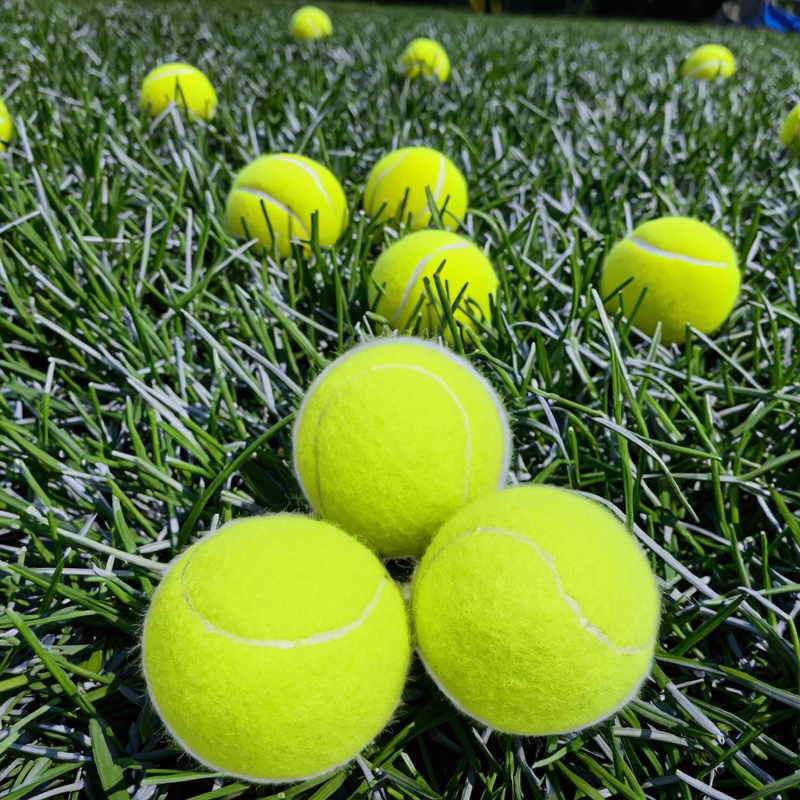 Tennis Ball Supplier - Custom 801 Beginner Training High Elasticity