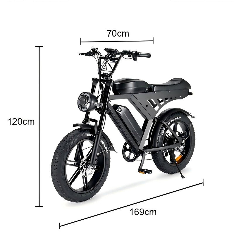 Electric Bike Manufacturer - 500W Retro Moped 48V Fat Tire