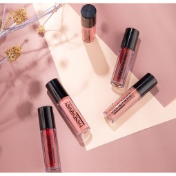 Long-Lasting Waterproof Velvet Matte Liquid Lipstick Nude Red Makeup in Cosmetic Gift Set