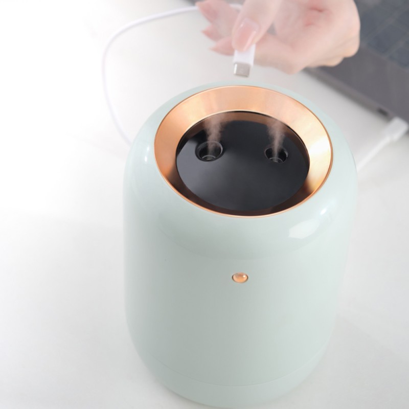 USB Rechargeable 1000ml Mini Ultrasonic Air Humidifier Electronic Double Spray Cool Mist for Bedroom Sports Entertainment