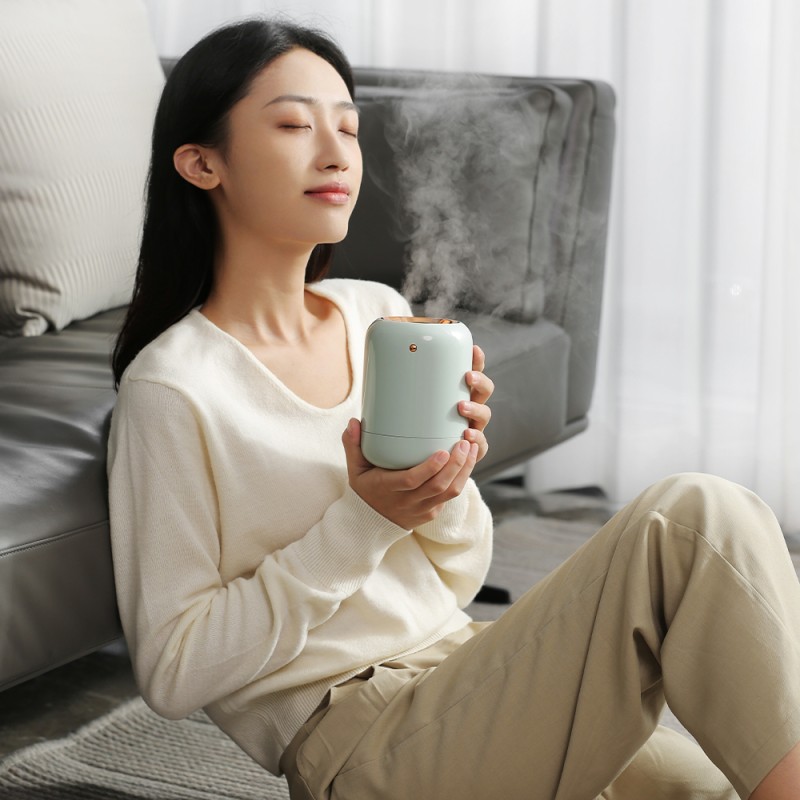 Factory Price Customized Mini 1L Warm Mist Maker  Humidifiers Steam Room Ultrasonic Cool Mist Humidifier