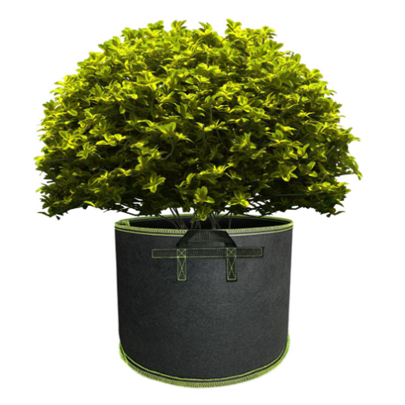 Grow Bag Supplier - Custom 2-10 gal Non-woven Fabric Pot