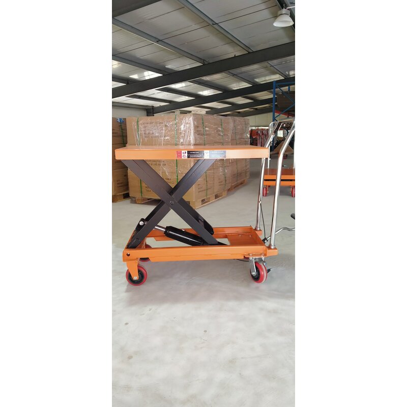 Manual Lifting Platform Manufacturer - 1000MM 1000KG Four Wheels Platform