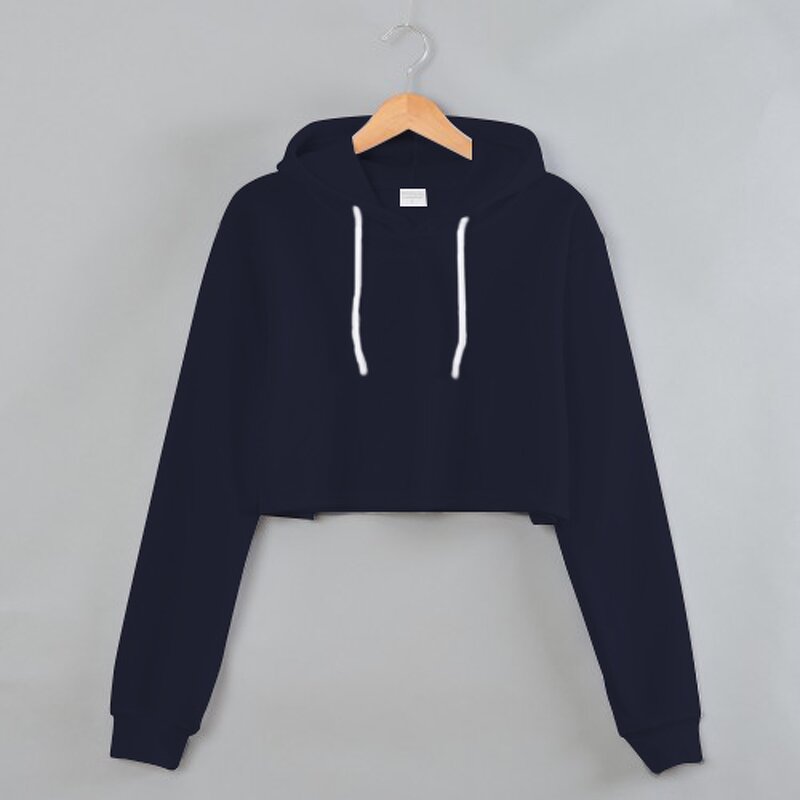 Hoodie Supplier - Women's Daily Style 3D Embroidery