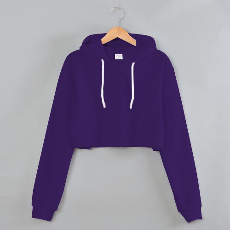 Hoodie Supplier - Women's Daily Style 3D Embroidery