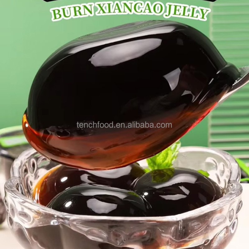 Traditional Grass Jelly Gelatinous Bubble Tea Topping with Herb Infused Pudding Jelly Snack