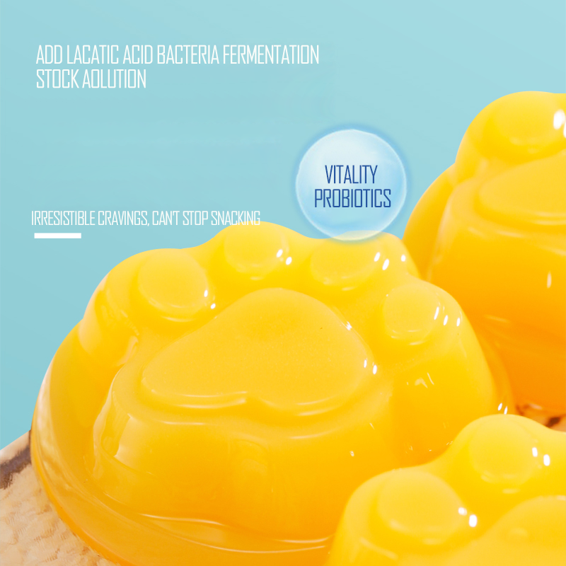 Custom with Fast Delivery Lovely Mixed Flavor Cat's Claw Lactic Acid Bacteria Jelly Pudding Fruit Mango Yogurt Pudding Cups