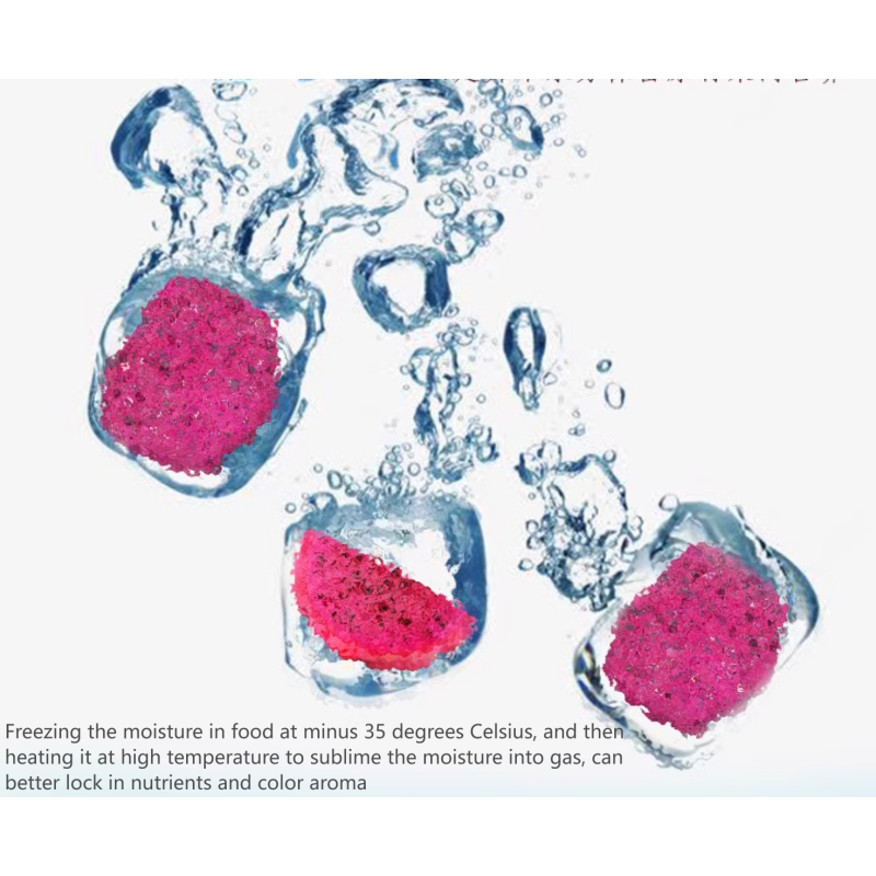 Bulk Freeze Dried Pitaya Sublimated Fruit Sample Free Wholesale Freeze Dried Dragon Fruit Direct FD Fruit Factory Custom Package